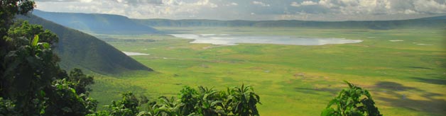 Ngorongoro