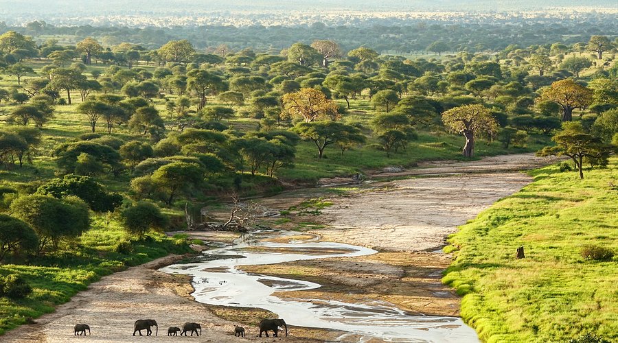 Tarangire