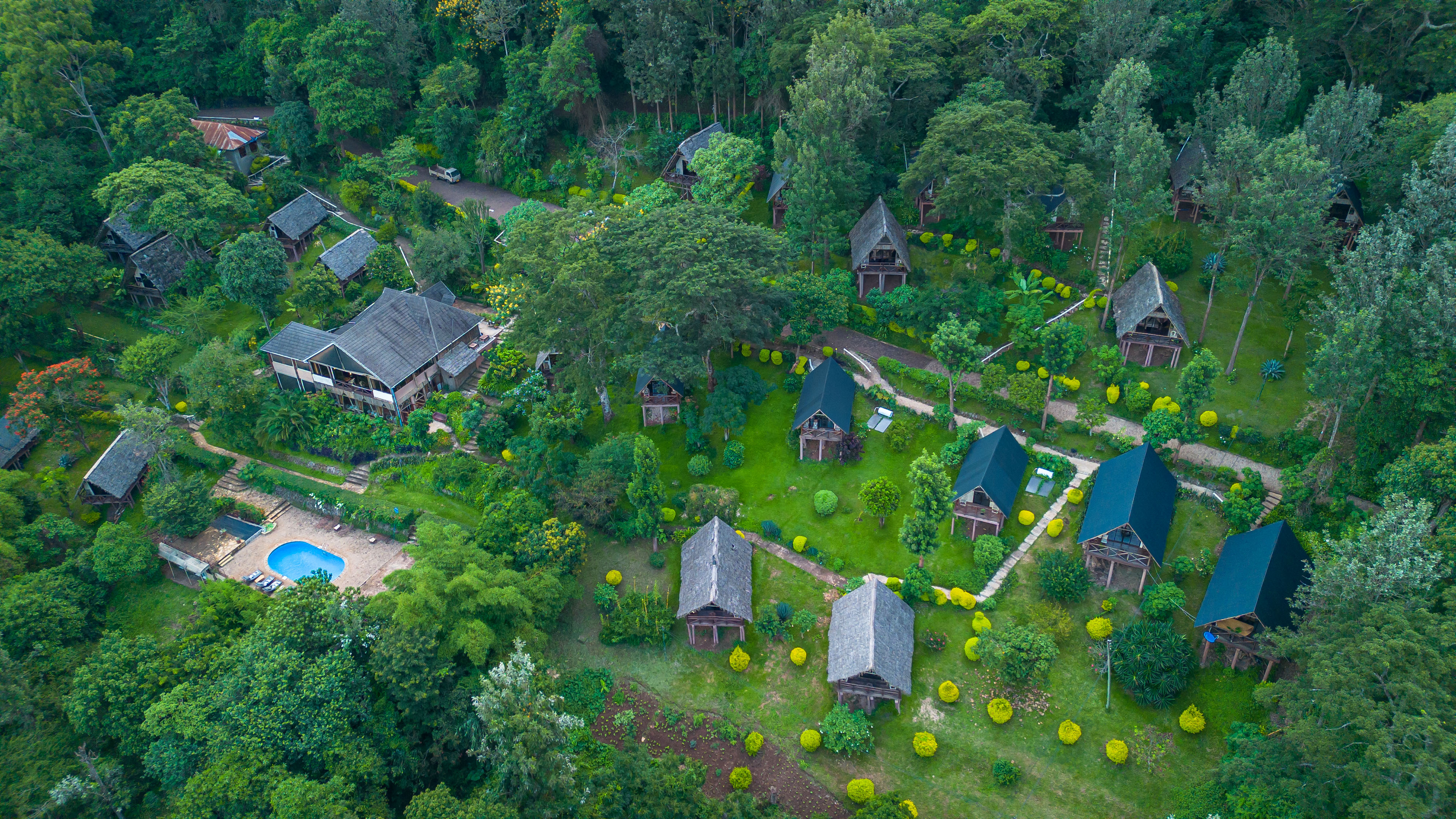 Lodge header background 4